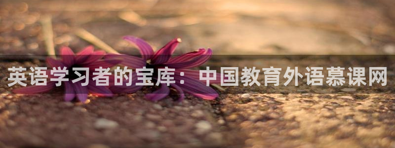 九游会j9
