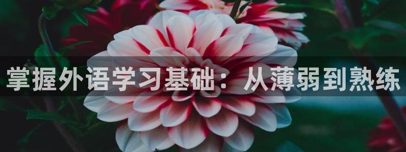 j9九游会ag真人官网