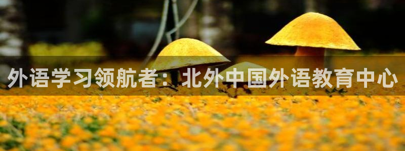 j9九游会平台