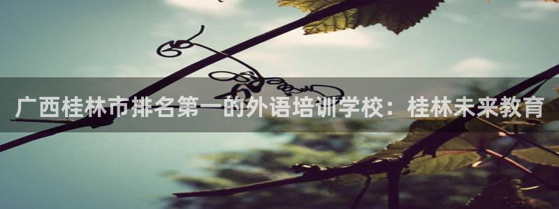 九游会ag真人官网