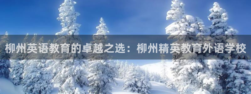 j9九游会旧版