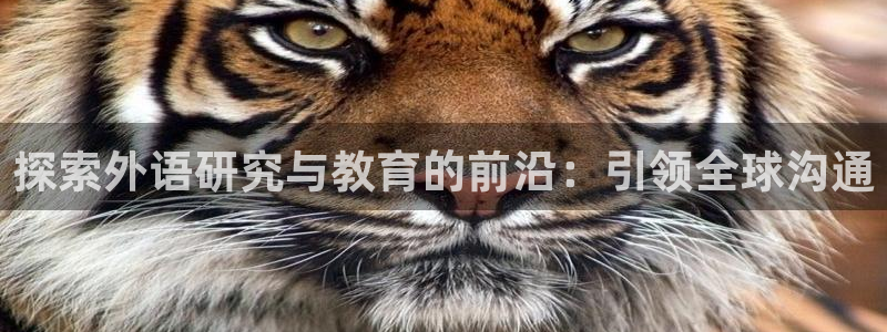 j9九游会首页登录